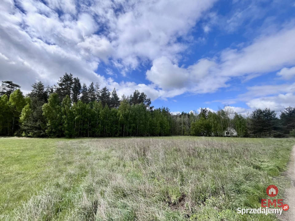 Działka Henrykowo 1113m2 inwestycyjna sprzedam