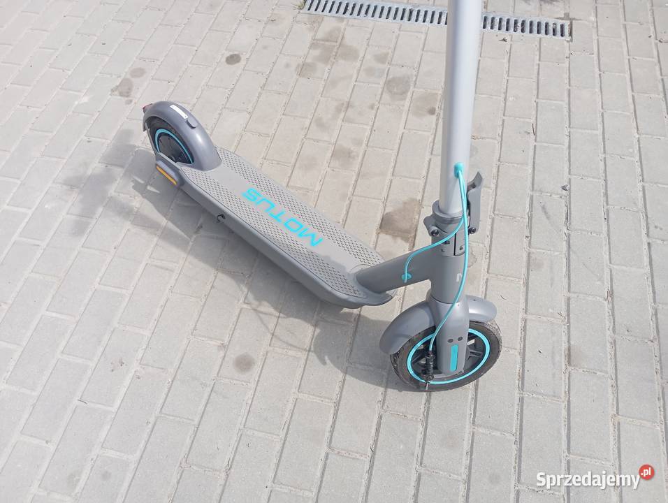 holail nogę eley Ropczyce