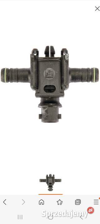 Korpus dyszy amazone śląskie Woźniki