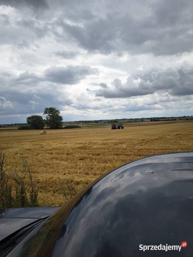 Sprzedam słomę jęczmienna 25 ha jarą zbior Łubno sprzedam