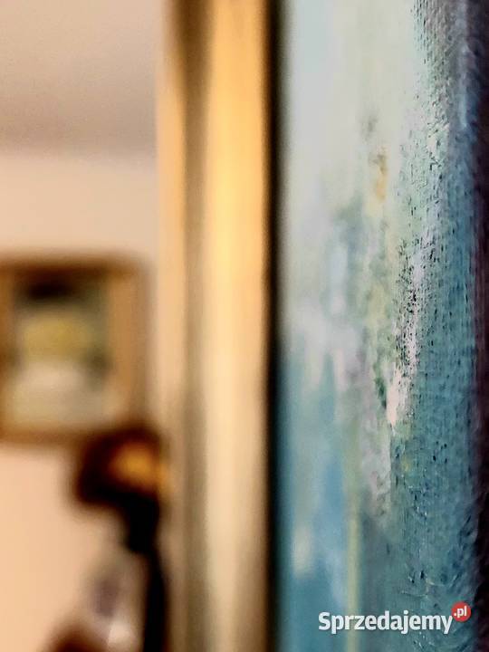 Łazienki królewskie obraz ręcznie malowany 5070 Lublin