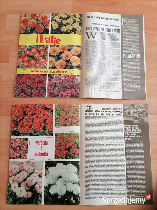Kwiaty Czasopismo Kwartalnik 1989 PRL Wałbrzych sprzedam