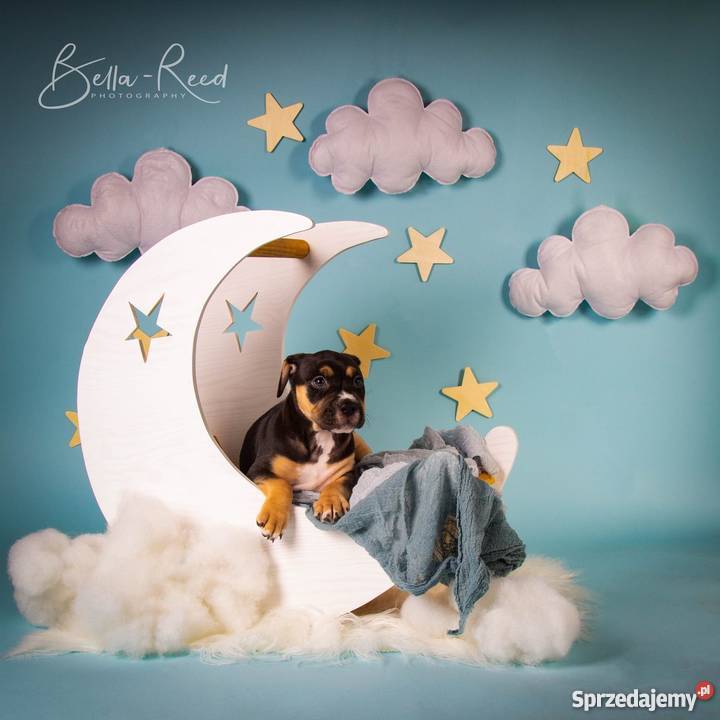 Foto rekwizyt do dziecięcych sesji księzyc z Milicz