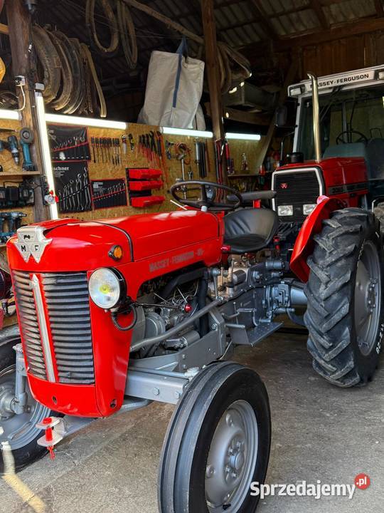 Ferguson 825 zarej mth 30 1960r Sieklówka