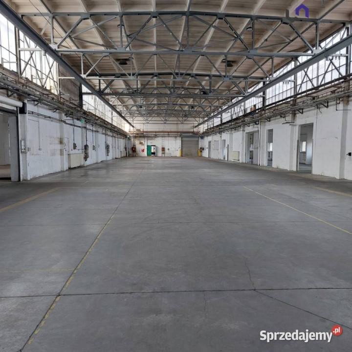 Lokal 1300m2 Katowice Wynajem