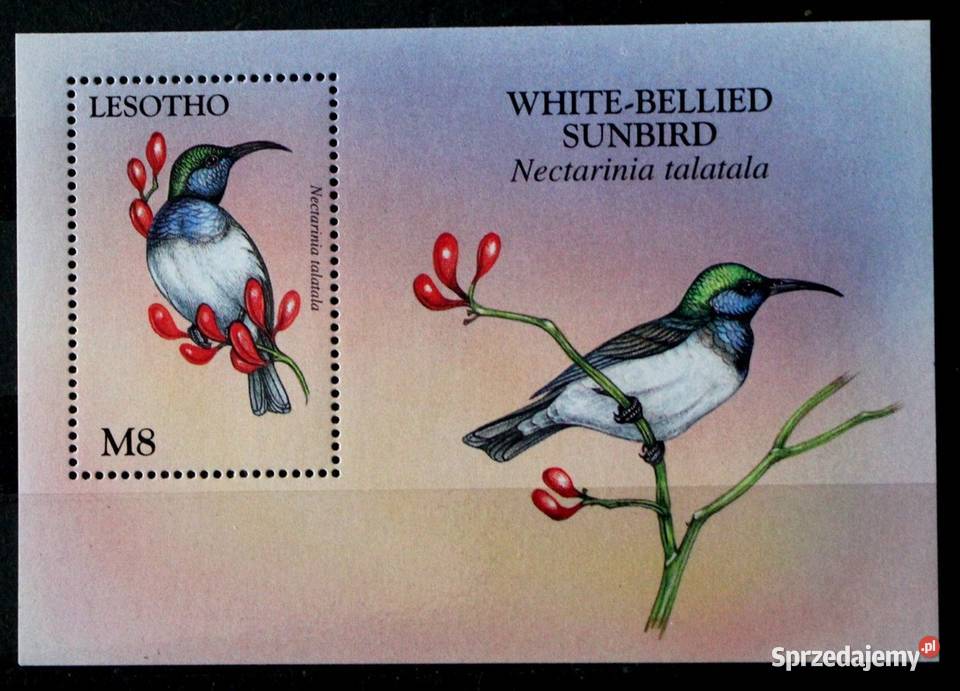 Lesotho Filatelistyka Oborniki sprzedam