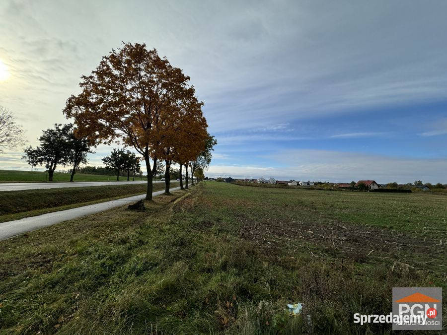 Działka Kamień Pomorski Dziwnowska 4000m2 sprzedam