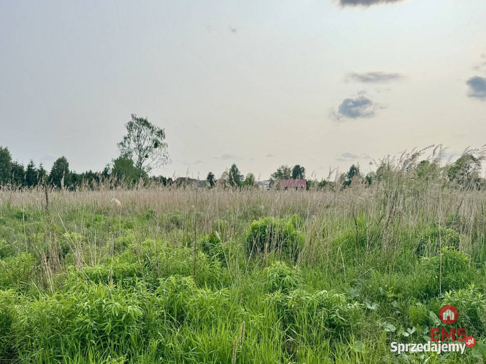 Grunt Nowodworce 1129m2 sprzedam