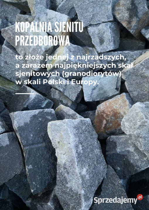 Kamień murowy Sjenit Przedborowa