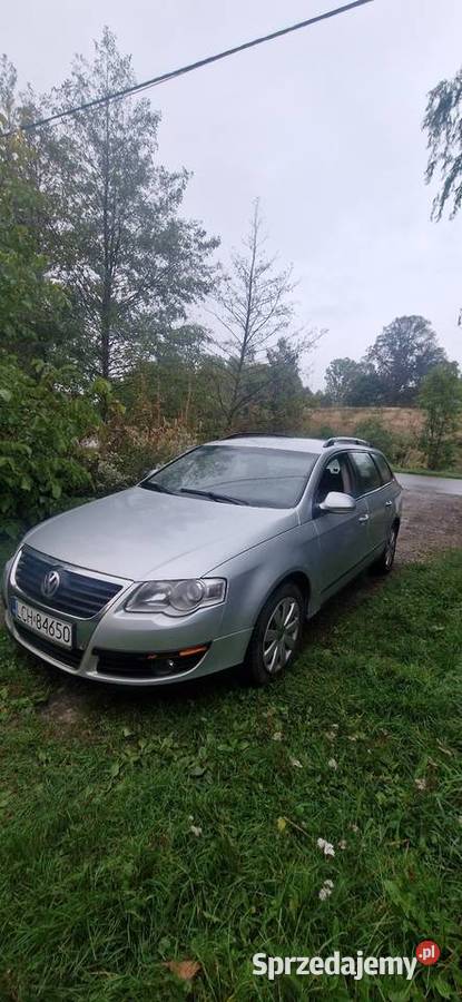 Passat B6 19 Złojec