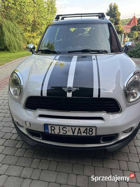Mini countryman Skołyszyn