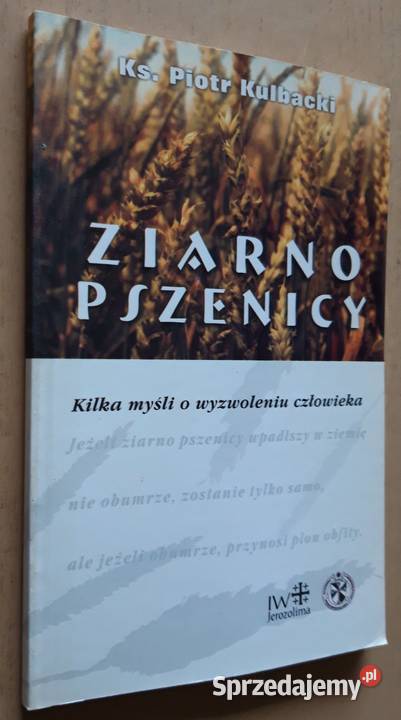 Ziarno pszenicy Ks Piotr Kulbacki Suwałki sprzedam