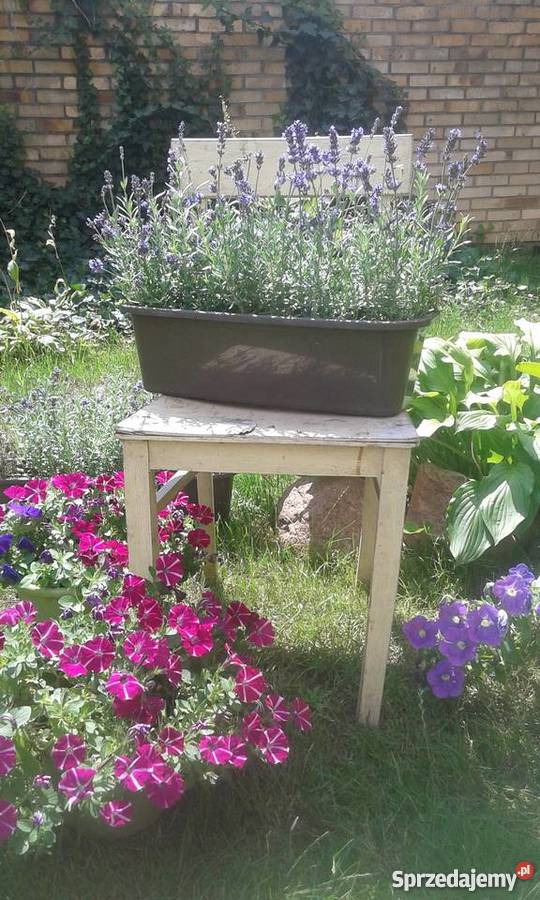 Drewniane Krzesło Kwietnik PRL wielkopolskie