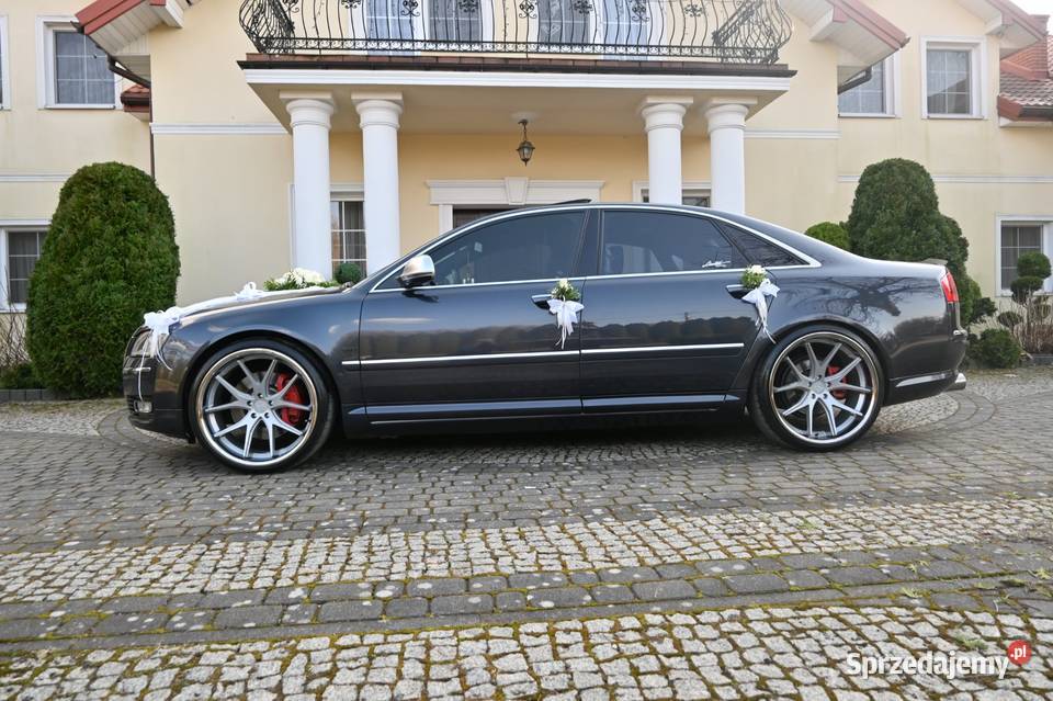 Audi A8 Aleksandria