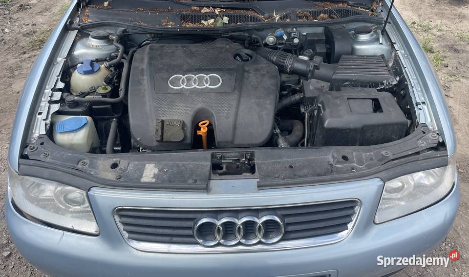 Vw Golf V 16 FSI BLP HBM LA7W Na Części Pozostałe łódzkie Piotrków Trybunalski
