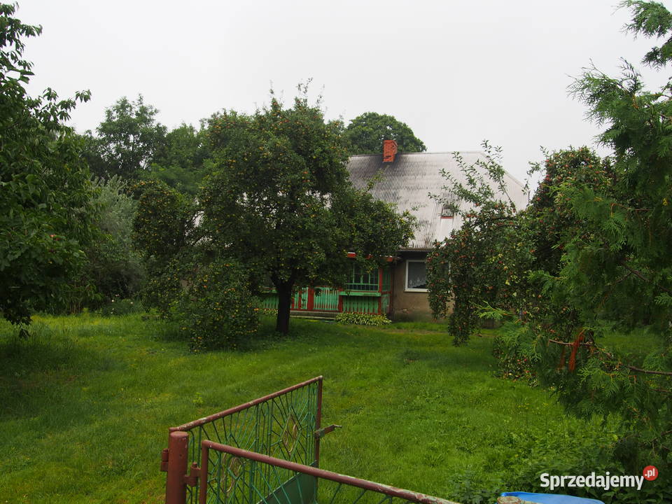 Działka gospodarstwo na sprzedaż Aniołka Aniołka Pierwsza