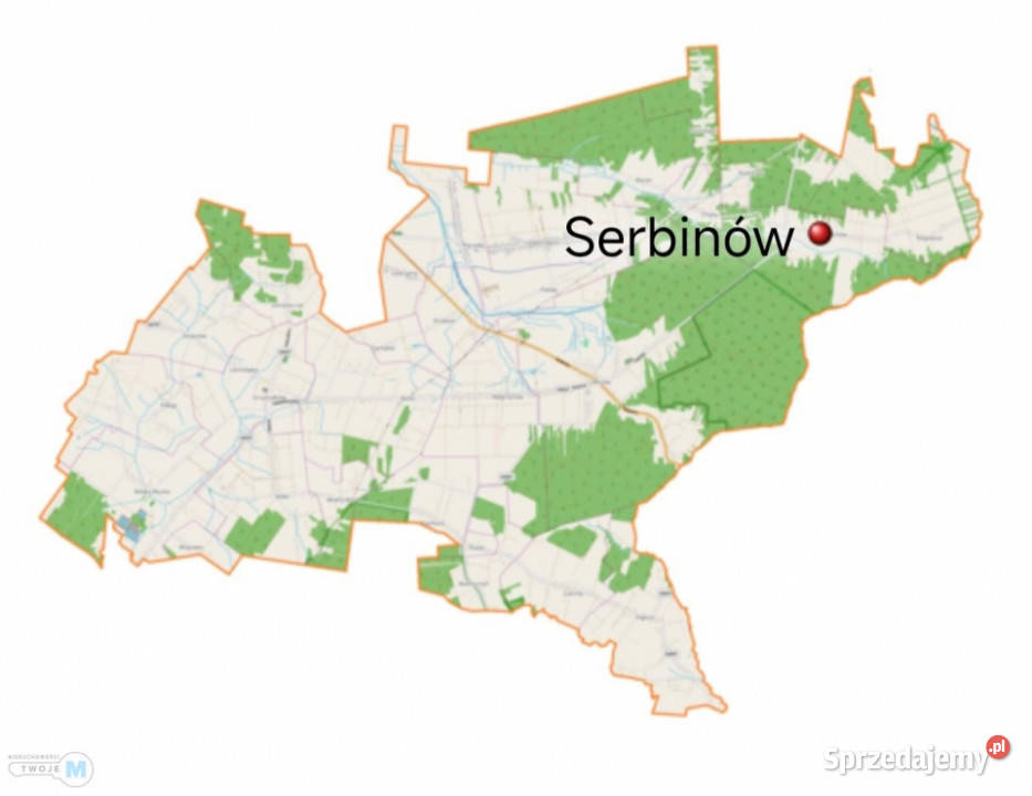 sprzedaży działki Mniów 5000 metrów asfalt