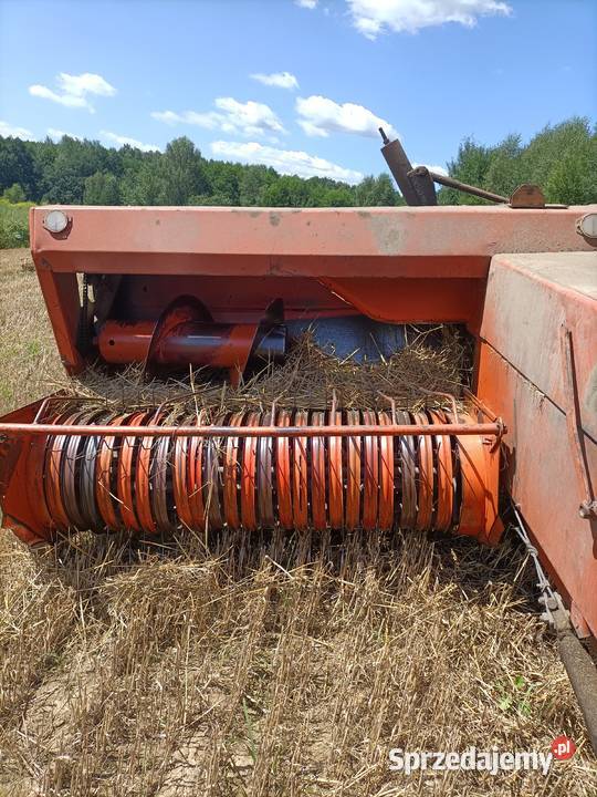 prasa kostkuąca sipma Sipma Grojec