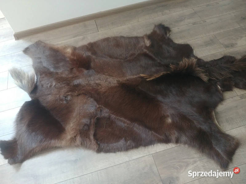 Skóra z antylopy Gnu