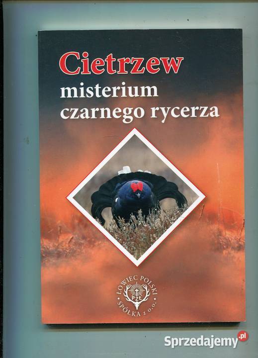 Cietrzew misterium czarnego rycerza Szczecin sprzedam