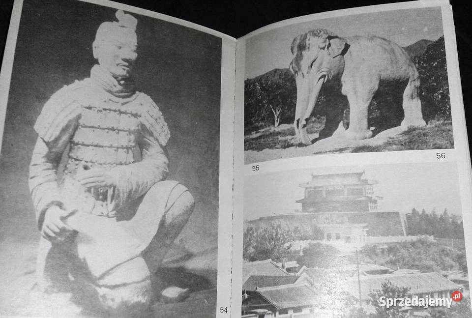 W kręgu złotego smoka Wiesław Olszewski Chełm