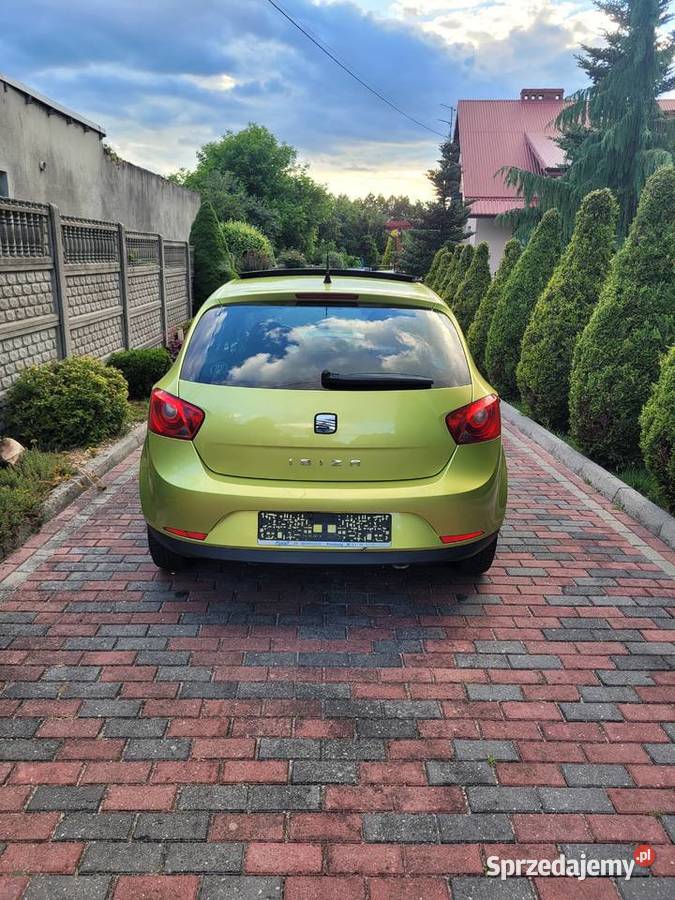 Seat Ibiza 2009 radio