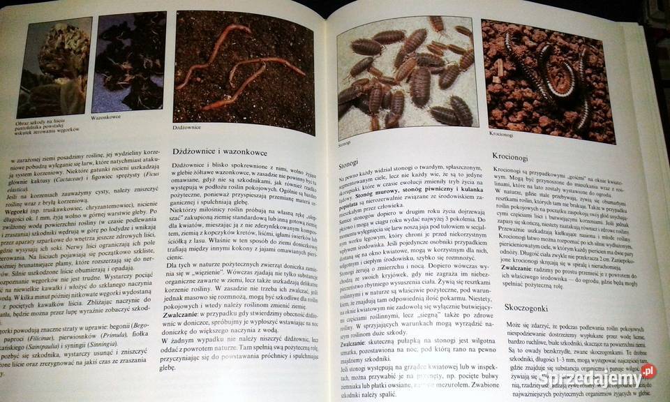 Choroby i szkodniki roślin pokojowych Gottfried Chełm