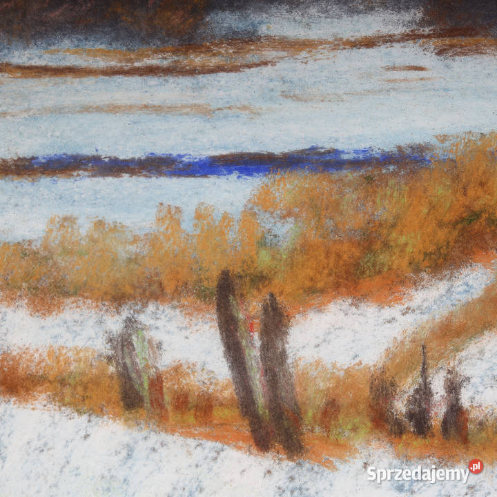 ARTexpert Zimowy Pejzaż Oryginalny Obraz Pastel Dobrzany
