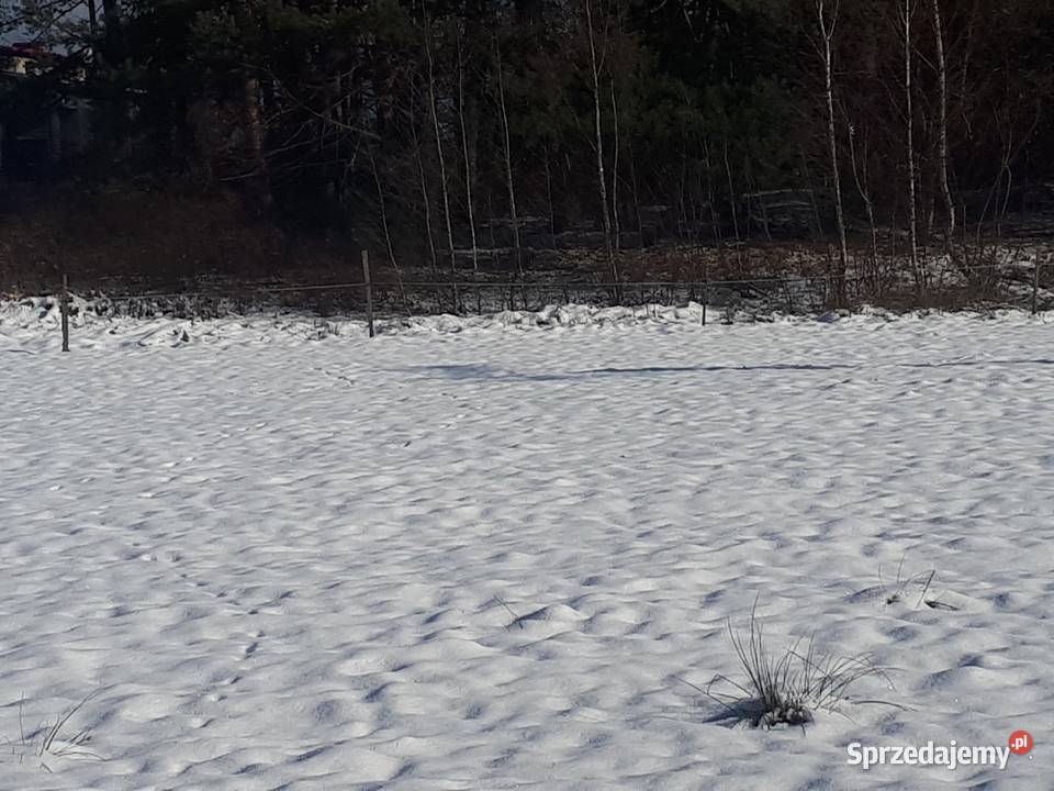 ladna duza dzialka okazja prąd Tworóg