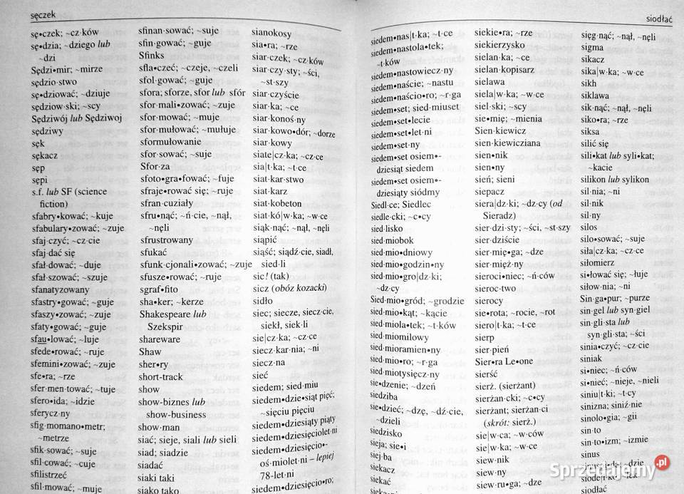 Podręczny słownik ortograficzny Zygmunt Saloni twarda Chełm