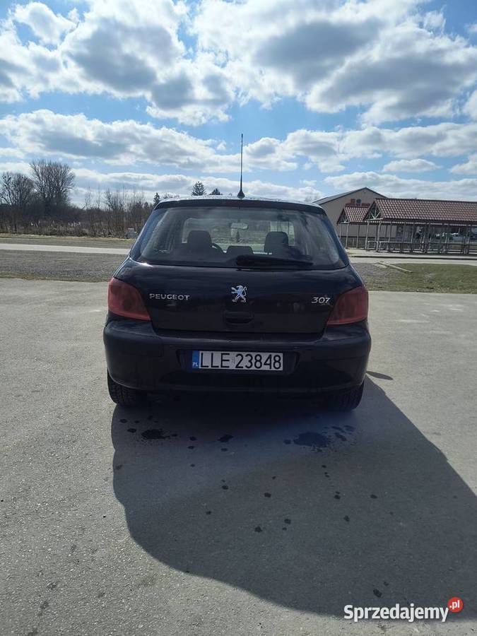 Peugeot 307 16 109 2004r klimatronik alufelgi wspomaganie kierownicy 307 Siedliszcze