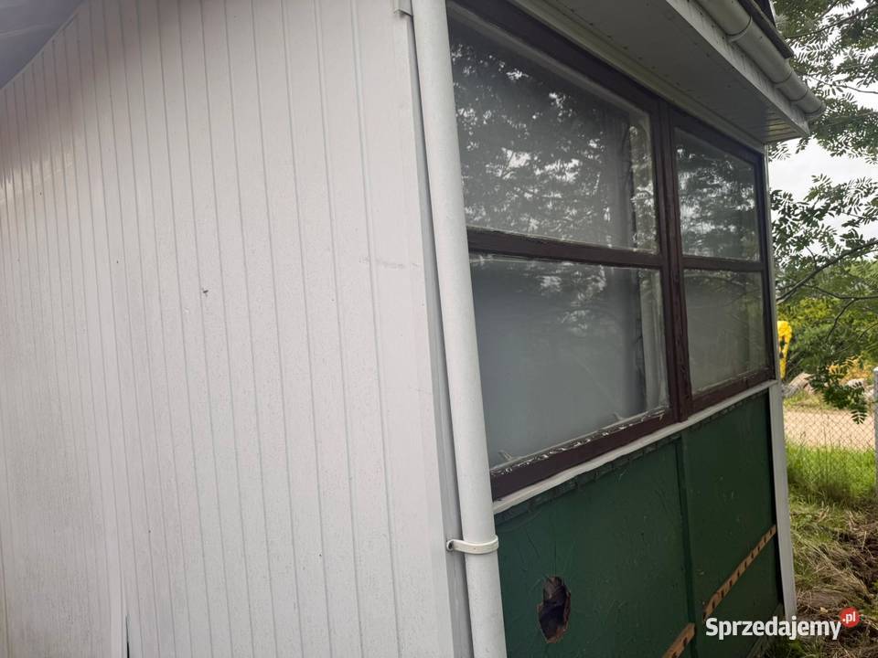 Barak holenderka pomorskie mazowieckie Warszawa sprzedam