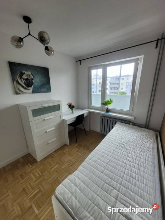 Bezpośrednio Kamienna 4 pokoje remoncie Wrocław