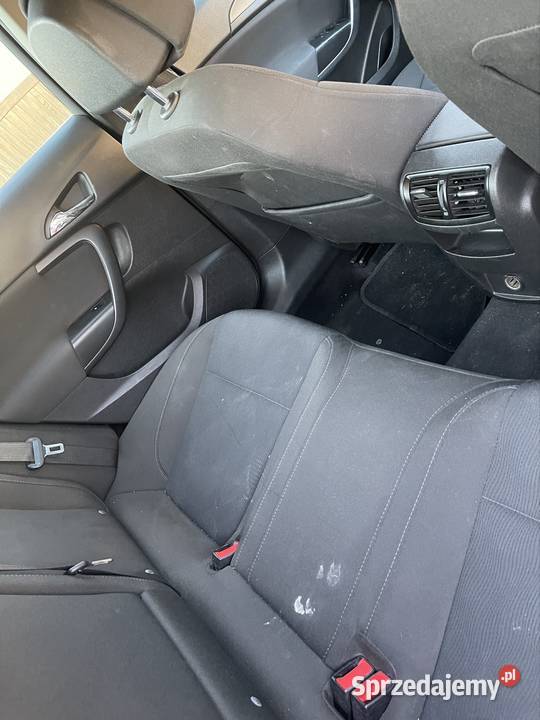 Opel Insignia Sokołów Małopolski