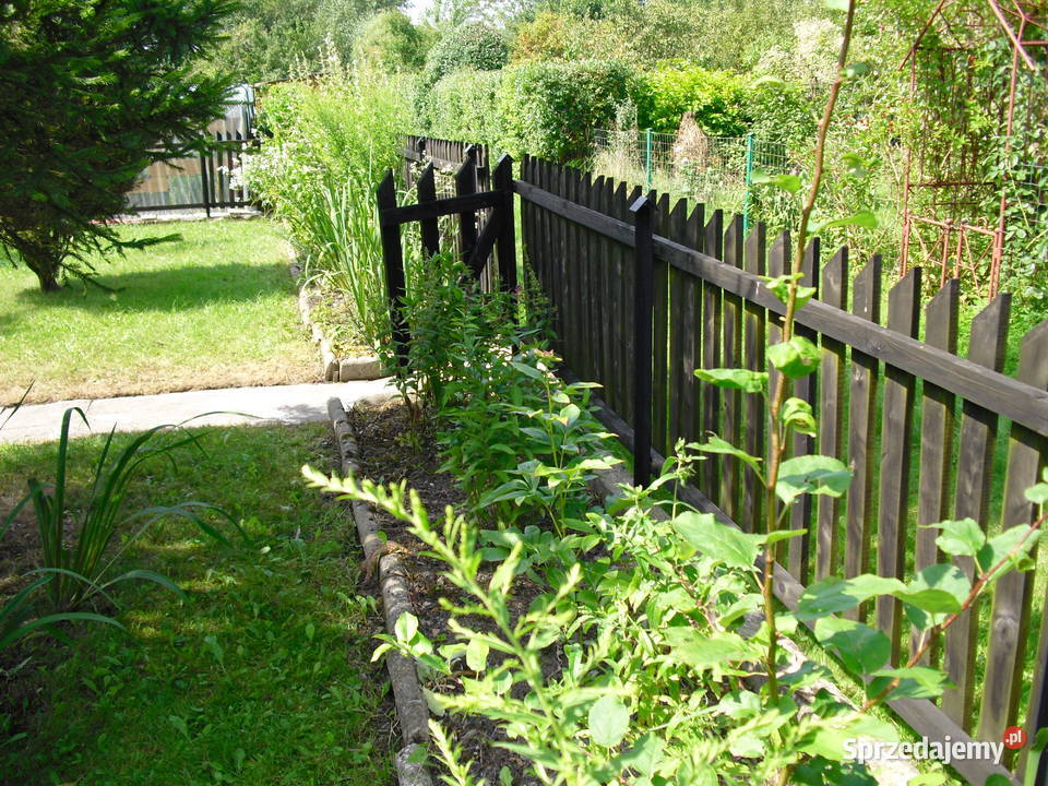 ROD SŁONECZNIK działka rekreacyjna Lublin