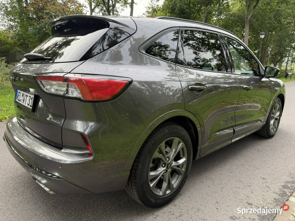 Ford Kuga MK3 15 EcoBlue TDCI STLine 2020 FULL nieuszkodzony Józefkowo