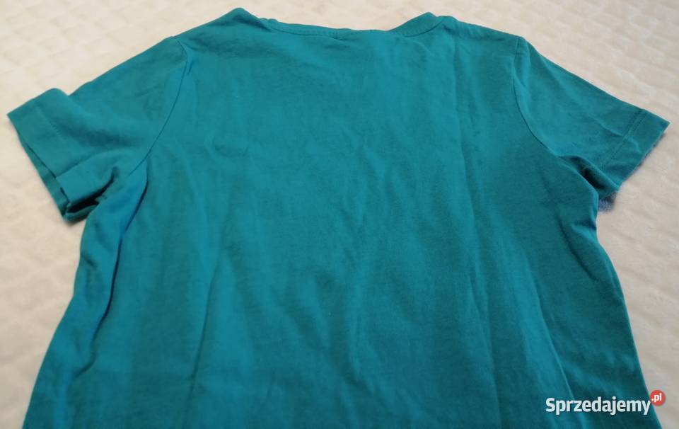 Koszulka krótki rękaw Tshirt dinozaur 116 CA