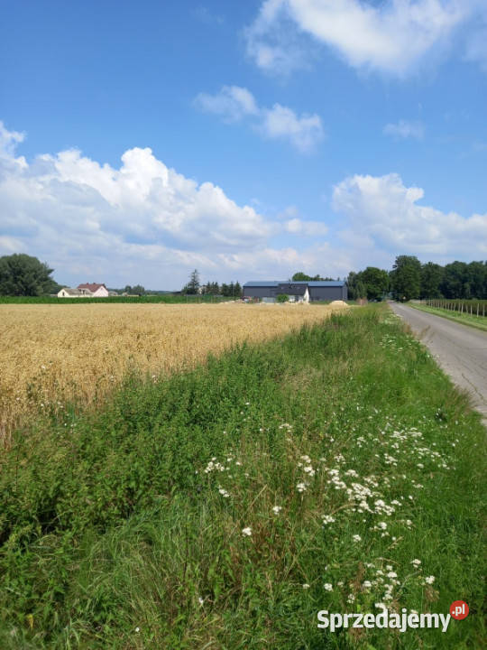 Sprzedam działkę rolnobudowlaną 3198m2 Galomin sprzedam