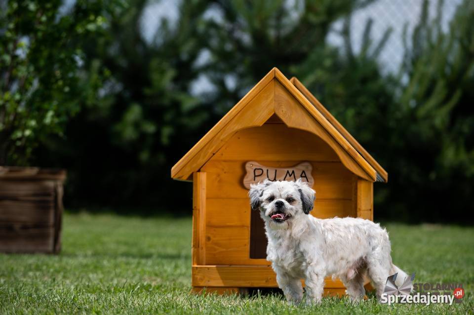 Buda małego psa WYSYŁKA grawer świętokrzyskie Stopnica sprzedam