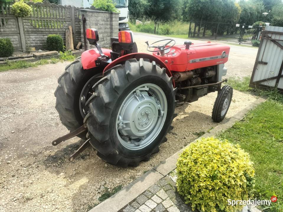 Massey Ferguson 135V sadownik sprzedam