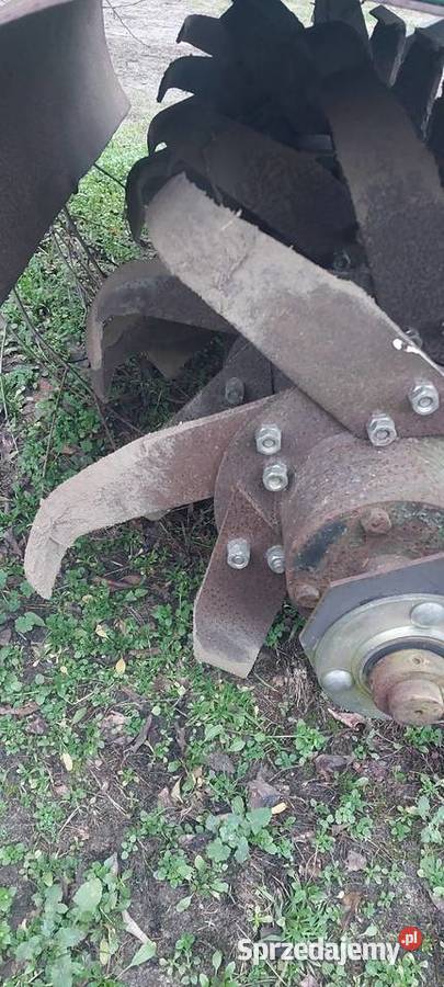 Glebogryzarka lubelskie Kock