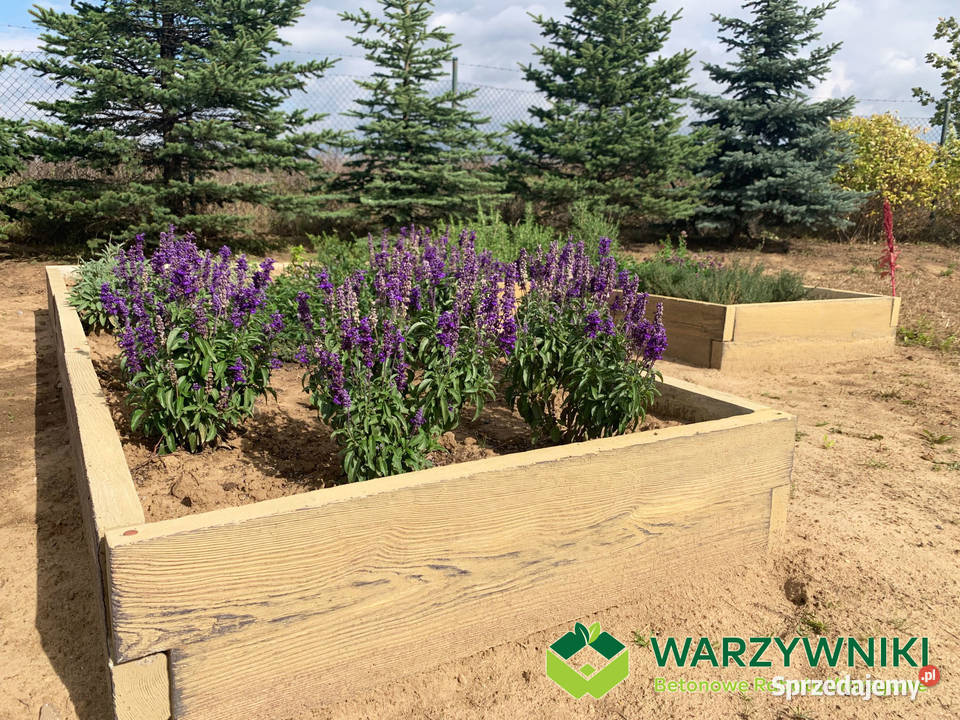 Warzywnik betonowy Skrzynia na warzywa Ogród świętokrzyskie Kielce sprzedam