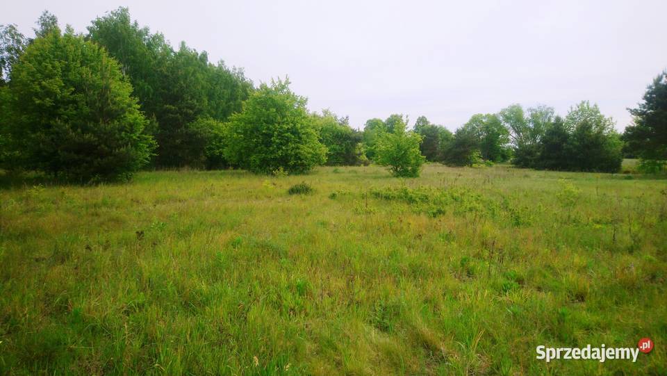 Sprzedam działkę budowlaną o pow 1093 m2 z Popielżyn-Zawady