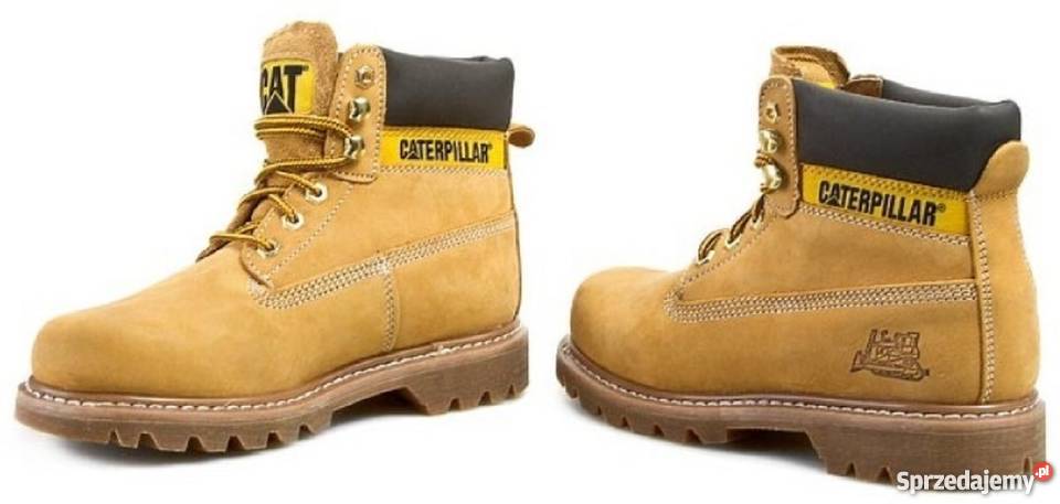 Trapery caterpillar cheap colorado