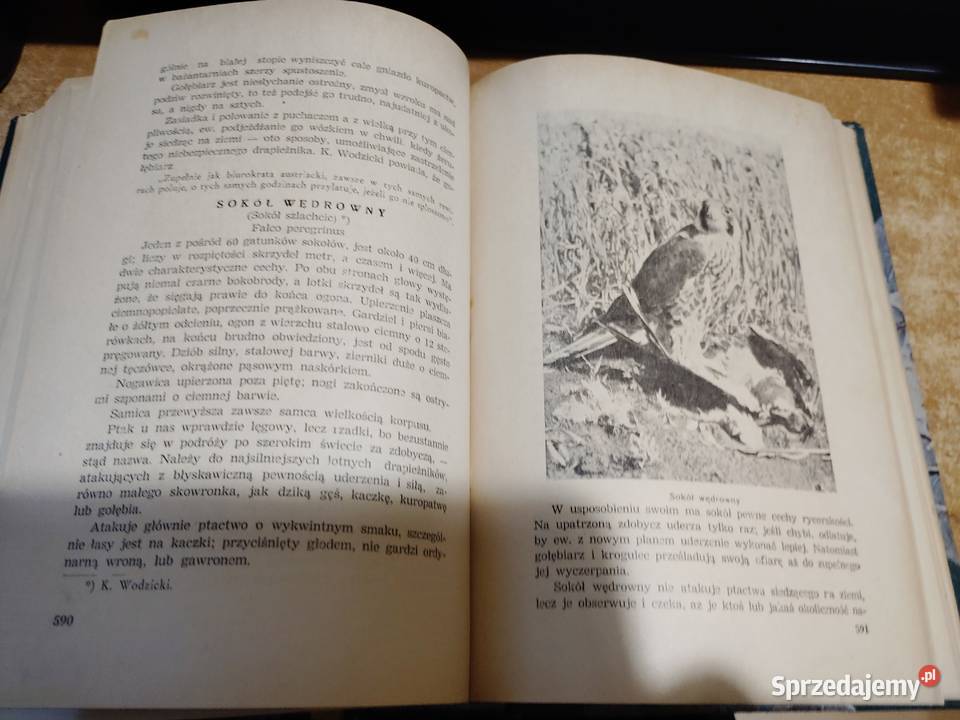 ŁOWIECTWO Podręcznik leśników i myśliwych Iwno