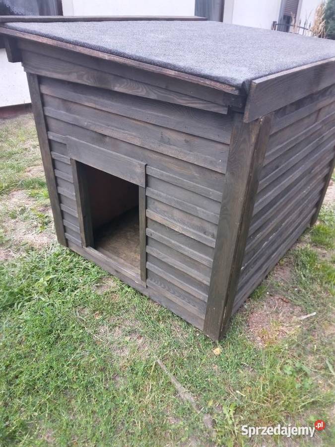 Buda XXLgigant dużego psa Grodziec sprzedam