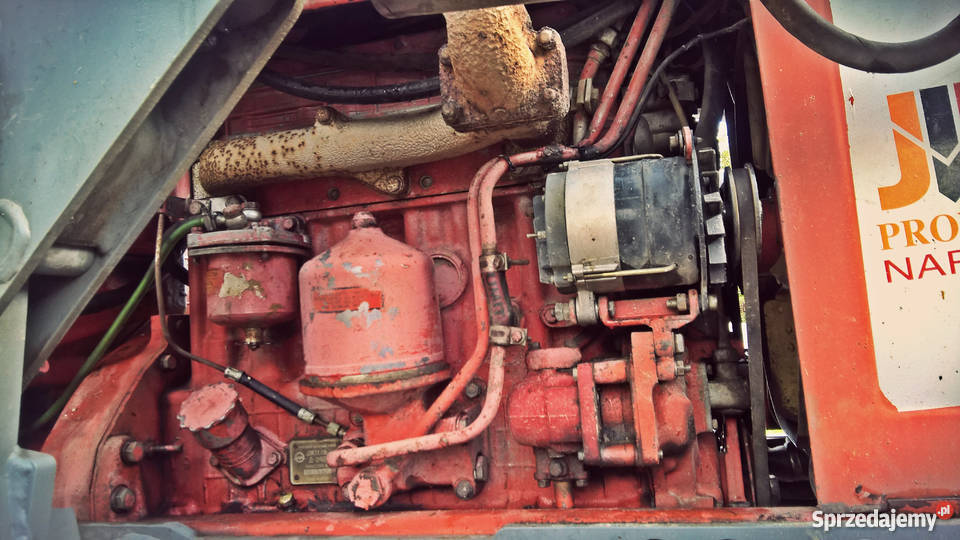 Mtz 82 z turem kujawsko-pomorskie Strzygi