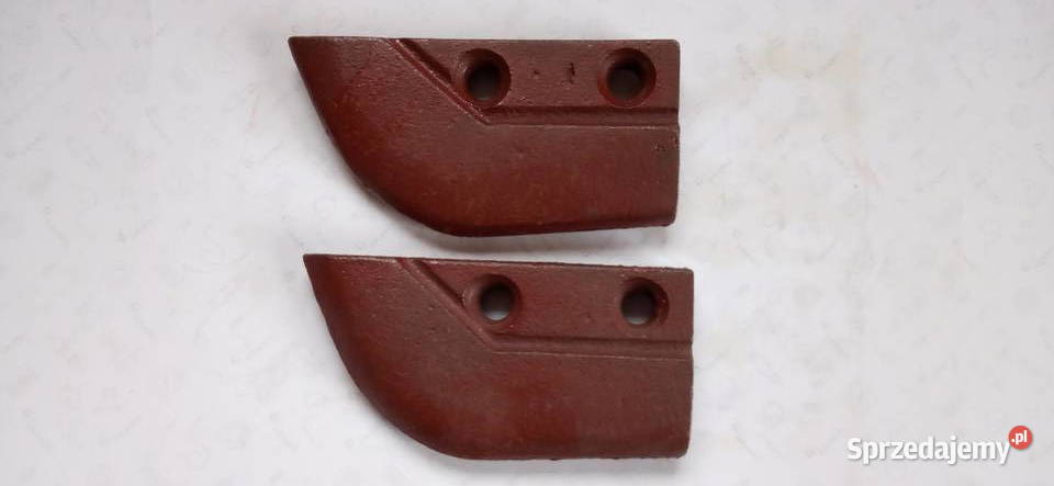 Czubek redlicy krótki SIEWNIK POZNANIAK mazowieckie Płock