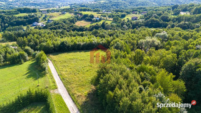 Działka Kielnarowa 7800m2