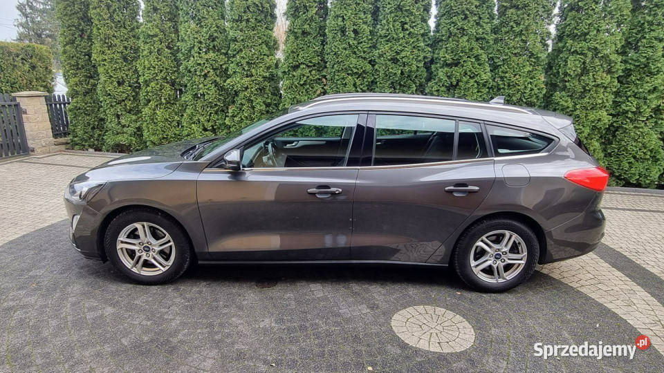 Ford Focus Automat Led Kamera Navi Serwis nawigacja Płońsk